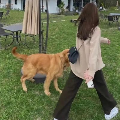 极度重犯