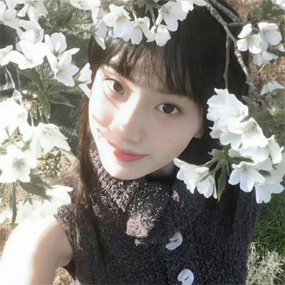 明月守护者